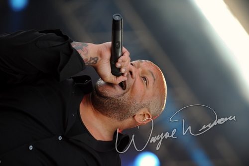 Killswitch Engage concert photo by Wayne Dennon
