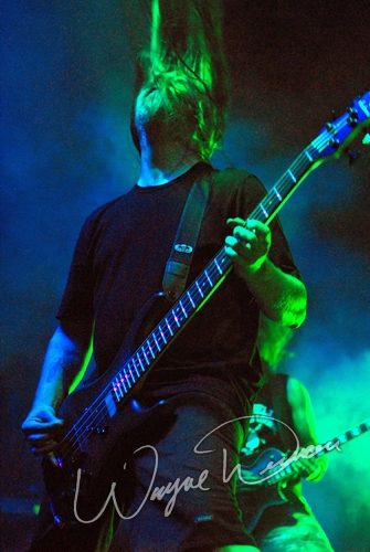 Lamb Of God
