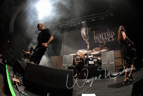 Lamb Of God