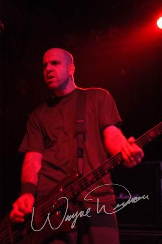 Life Of Agony