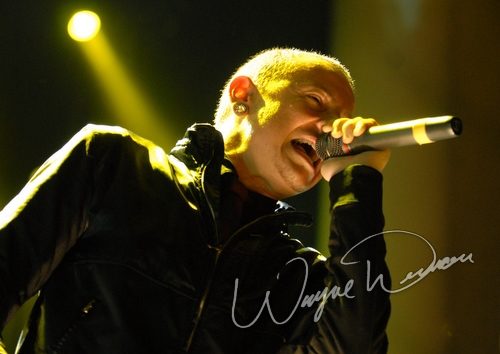 Linkin Park concert photo by Wayne Dennon