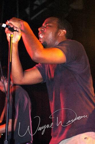 Lojic concert photo by Wayne Dennon