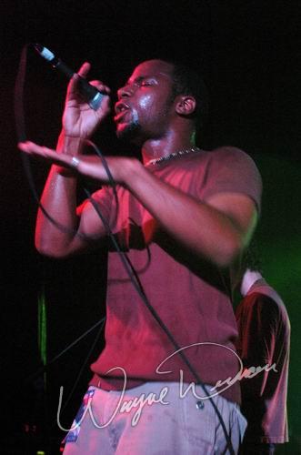 Lojic concert photo by Wayne Dennon