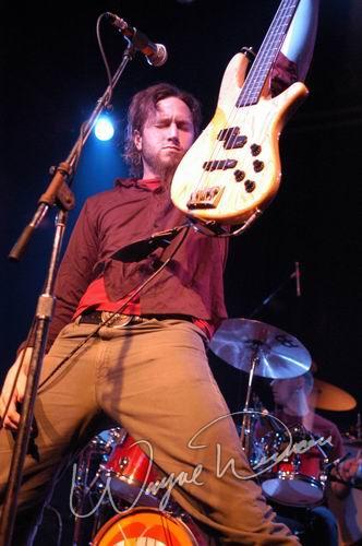 Mastodon