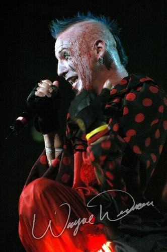 Mudvayne concert photo by Wayne Dennon