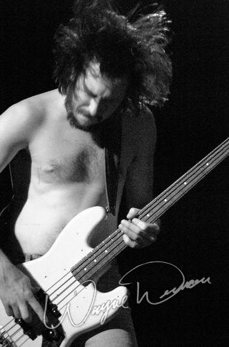 Nebula at Bogart's Cincinnati, OH on February 4, 2004 &mdash; concert photo by Wayne Dennon
