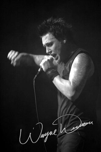 Papa Roach concert photo by Wayne Dennon