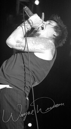 Papa Roach at Riverbend Music Center Cincinnati, OH on August 15, 2005 &mdash; concert photo by Wayne Dennon