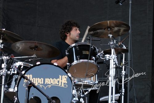 Papa Roach at Columbus Crew Stadium Columbus, OH on May 19, 2007 &mdash; concert photo by Wayne Dennon