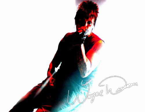 Papa Roach at Hara Arena Dayton, OH on November 22, 2008 &mdash; concert photo by Wayne Dennon