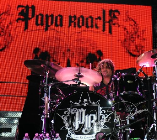 Papa Roach at Riverbend Music Center Cincinnati, OH on August 19, 2009 &mdash; concert photo by Wayne Dennon