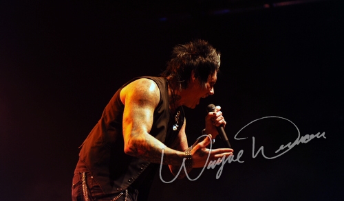 Papa Roach at Bank of Kentucky Center Highland Heights, KY on December 5, 2009 &mdash; concert photo by Wayne Dennon