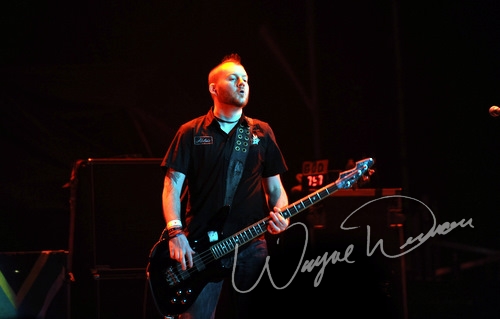 Seether
