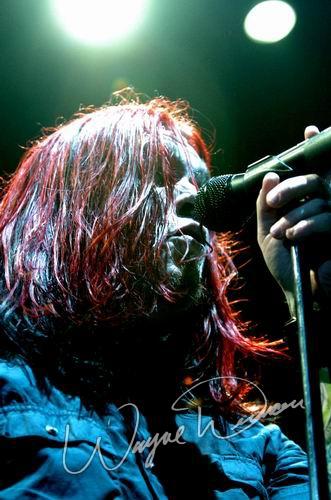 Shinedown