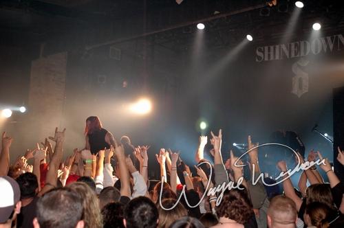 Shinedown
