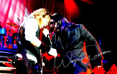Shinedown