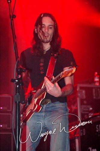 Silvertide