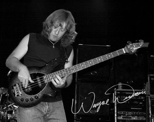 Steve Morse