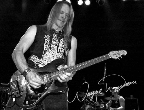 Steve Morse