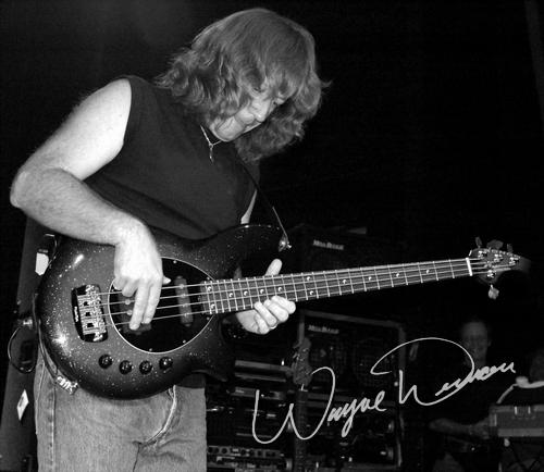 Steve Morse concert photo by Wayne Dennon