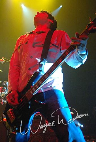 Better Than Ezra concert photo by Wayne Dennon