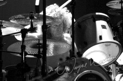 Whitesnake