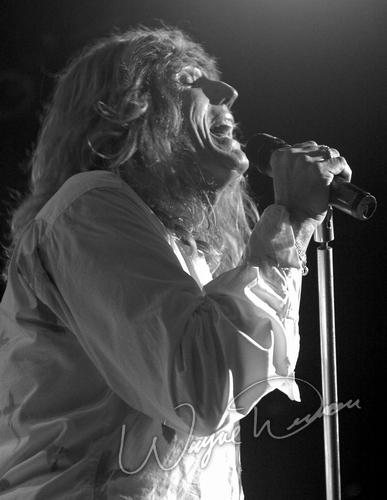 Whitesnake concert photo by Wayne Dennon