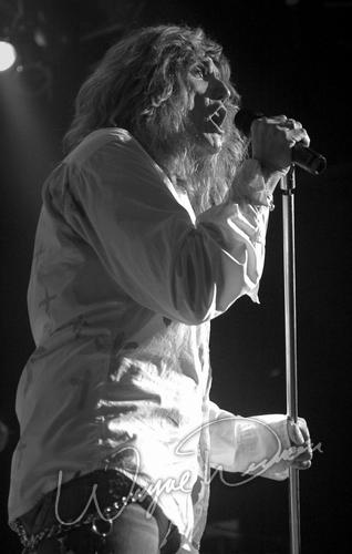 Whitesnake