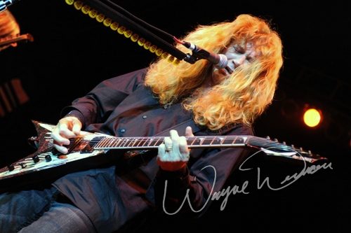 Megadeth concert photo by Wayne Dennon