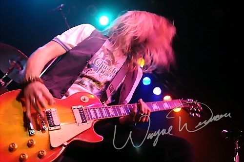 Black Stone Cherry at Madison Theater Covington, KY on July 13, 2008 &mdash; concert photo by Wayne Dennon