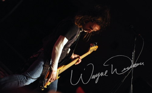 Black Stone Cherry at Cave City Convention Center Cave City, KY on November 27, 2009 &mdash; concert photo by Wayne Dennon