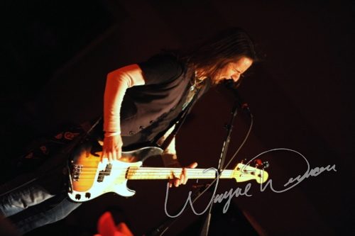 Black Stone Cherry at Cave City Convention Center Cave City, KY on November 27, 2009 &mdash; concert photo by Wayne Dennon