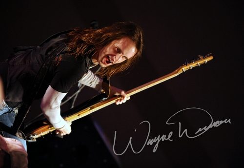 Black Stone Cherry at Cave City Convention Center Cave City, KY on November 27, 2009 &mdash; concert photo by Wayne Dennon