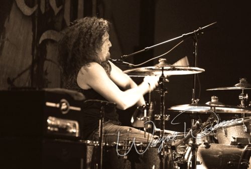 Black Stone Cherry at Cave City Convention Center Cave City, KY on November 27, 2009 &mdash; concert photo by Wayne Dennon