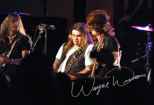 Black Stone Cherry