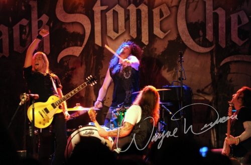 Black Stone Cherry