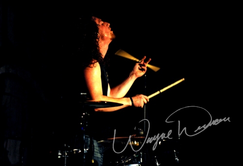 Black Stone Cherry at Cave City Convention Center Cave City, KY on November 27, 2009 &mdash; concert photo by Wayne Dennon