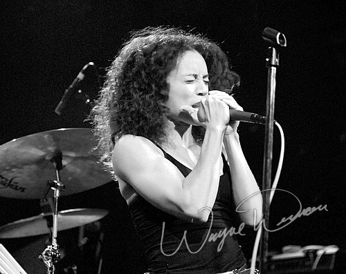 Wicked Wisdom concert photo by Wayne Dennon