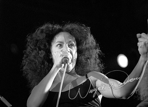 Wicked Wisdom concert photo by Wayne Dennon