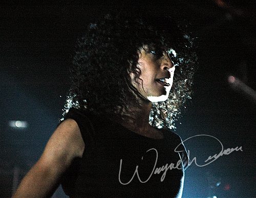 Wicked Wisdom concert photo by Wayne Dennon