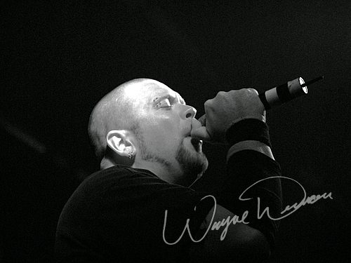 One at Jillian's Louisville, KY on March 19, 2006 &mdash; concert photo by Wayne Dennon