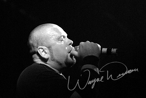 One at Jillian's Louisville, KY on March 19, 2006 &mdash; concert photo by Wayne Dennon