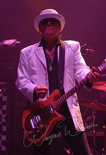 Cheap Trick concert photo by Wayne Dennon