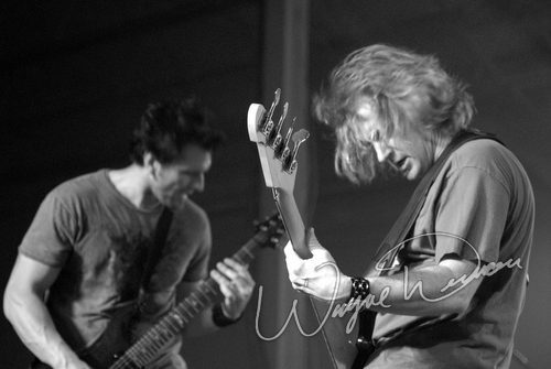 F 5 at Dallas Market Hall Dallas, TX on April 22, 2006 &mdash; concert photo by Wayne Dennon