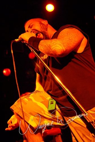 Brand New Sin