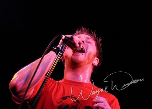 Saving Abel at Bogart's Cincinnati, OH on May 1, 2008 &mdash; concert photo by Wayne Dennon
