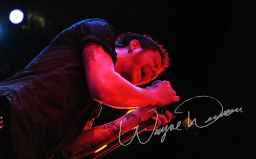 Saving Abel at Bogart's Cincinnati, OH on November 10, 2009 &mdash; concert photo by Wayne Dennon