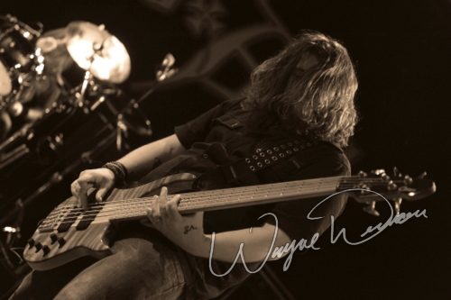 Saving Abel at Bogart's Cincinnati, OH on November 10, 2009 &mdash; concert photo by Wayne Dennon