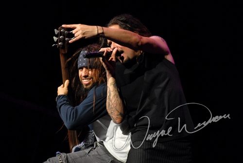 Korn