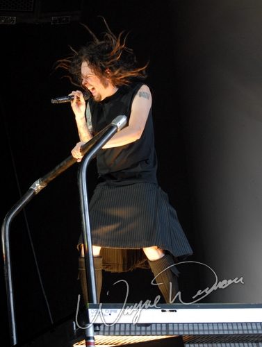 Korn at Verizon Wireless Music Center Noblesville, IN on August 10, 2007 &mdash; concert photo by Wayne Dennon